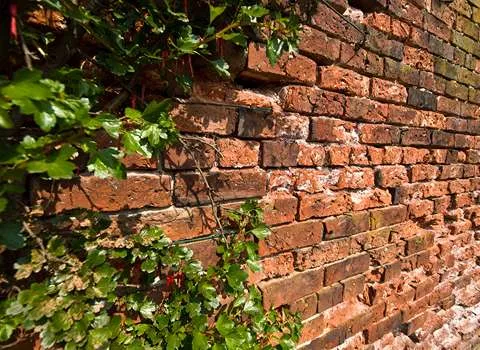 راهنمای خرید آجر سفال بابل با شرایط ویژه و قیمت استثنایی