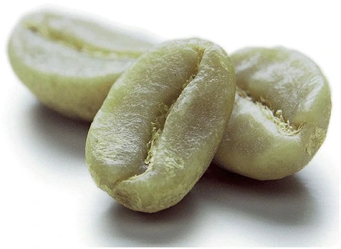 قهوه خام عمده همراه با توضیحات کامل و آشنایی