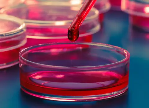 آیا جیوه قرمز در چراغ نفتی برای سلامتی مضر است؟