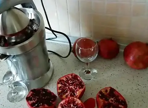 قیمت دستگاه آب انار گیری برقی خانگی