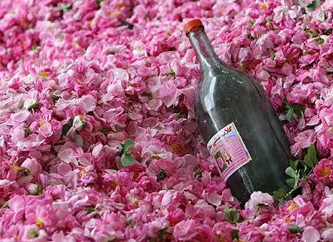 آیا تست بارداری با گلاب در طب سنتی مورد تایید است؟