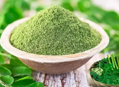 خواص برگ درخت مورینگا عطاری برای لاغری