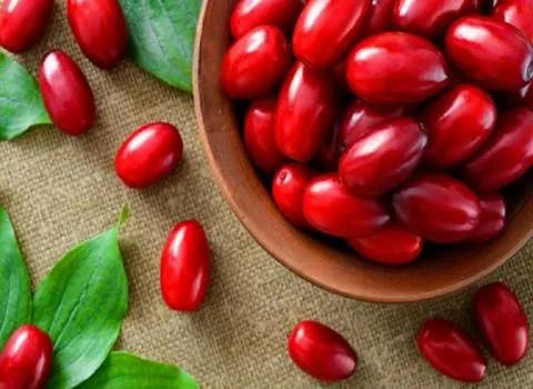 قیمت خرید عمده میوه زغال اخته خشک ارزان و مناسب