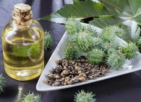 خواص روغن کرچک در ناف برای درمان سوهاضمه
