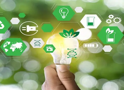 معنا و مفهوم مدیریت سبز در سازمان چیست؟