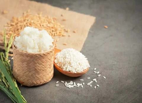 خرید عمده برنج عنبر بو شوشتر با بهترین شرایط