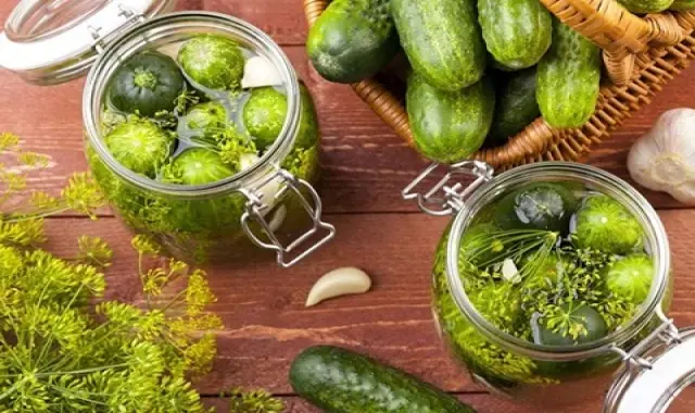 قیمت و خرید خیارشور خانگی با مشخصات کامل