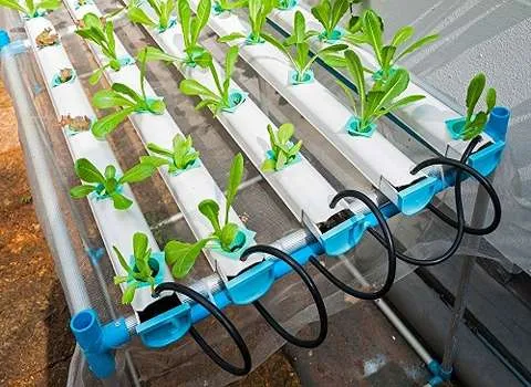 قیمت خرید عمده تجهیزات گلخانه ای ارزان و مناسب