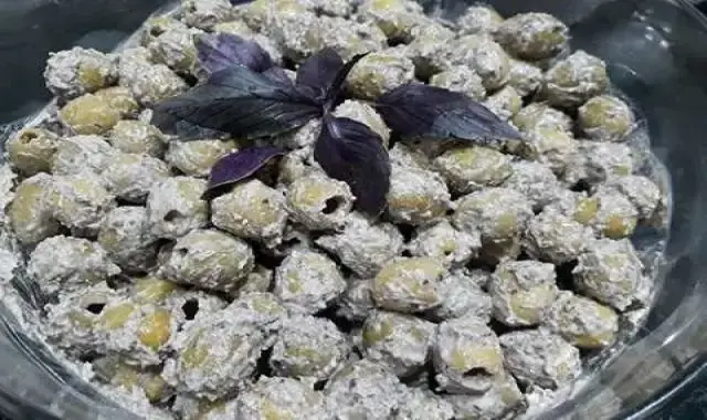 لیست قیمت زیتون پرورده گیلانی به صورت عمده و با صرفه