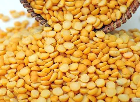 قیمت خرید عمده لپه ارزان و مناسب