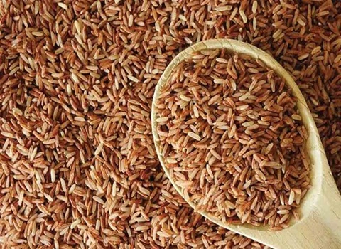 لیست قیمت برنج قهوه ای به صورت عمده و با صرفه