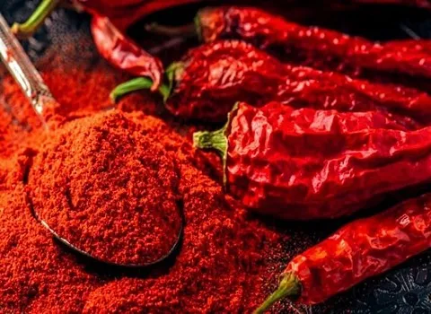 مشخصات فلفل قرمز و نحوه خرید عمده