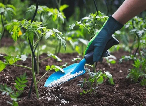 خرید کود نانو میکرو برای محصولات کشاورزی