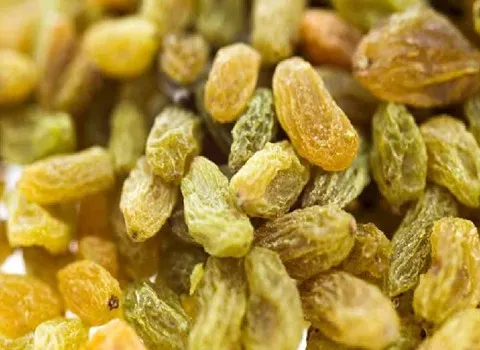 کشمش سبز قلمی خلیل آباد همراه با توضیحات کامل و آشنایی