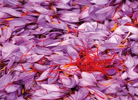 مشخصات زعفران ممتاز قائنات یک مثقال و نحوه خرید عمده