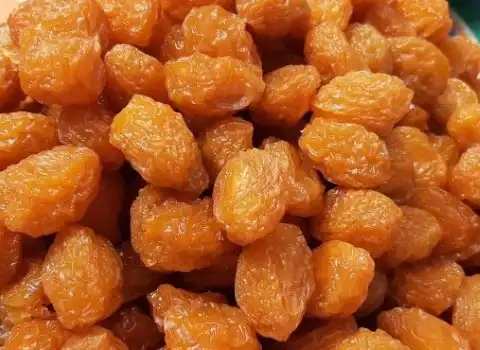 راهنمای خرید آلو بخارا خشک آفتابی با شرایط ویژه و قیمت استثنایی