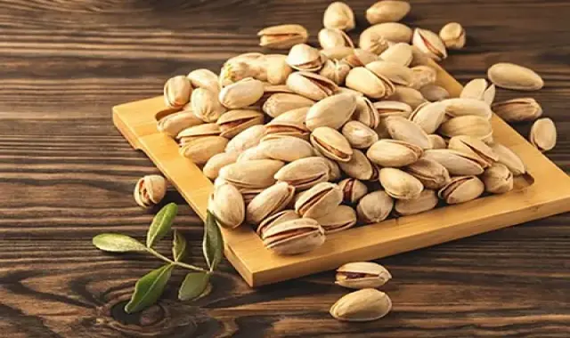 مشخصات پسته اکبری شور اعلا و نحوه خرید عمده