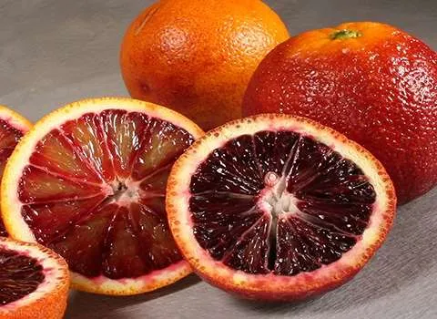 قیمت خرید عمده پرتقال تامسون توسرخ ارزان و مناسب