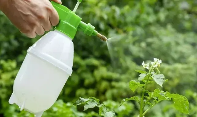 راهنمای خرید کود مایع ارگانیک جنگل با شرایط ویژه و قیمت استثنایی