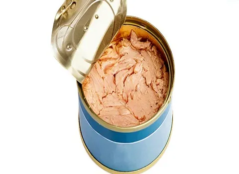 قیمت و خرید تن ماهی سایلان طبیعت با مشخصات کامل