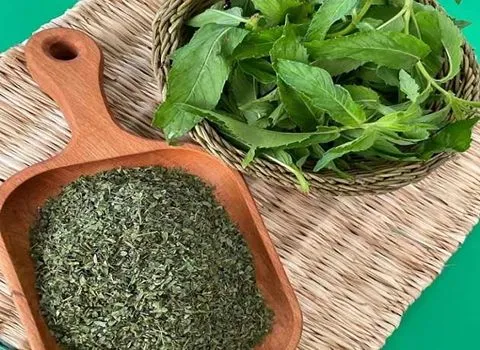 قیمت خرید عمده نعنا خشک عمده ارزان و مناسب