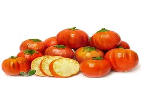 قیمت و خرید بادمجان ریز فرانسوی با مشخصات کامل