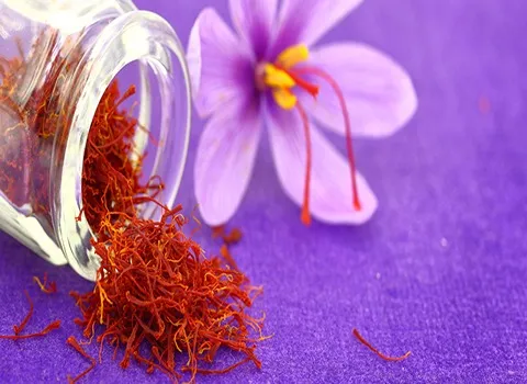 قیمت خرید عمده زعفران سرگل اعلا ارزان و مناسب