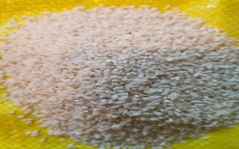 برنج نیم دانه هاشمی عمده همراه با توضیحات کامل و آشنایی