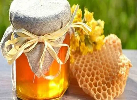 راهنمای خرید عسل طبیعی کوهی کردستان با شرایط ویژه و قیمت استثنایی