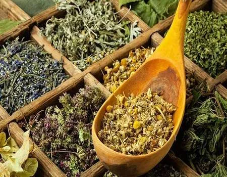 گیاهان دارویی استان خراسان رضوی آشنایی صفر تا صد قیمت خرید عمده