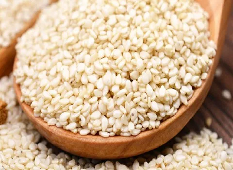 راهنمای خرید کنجد سفید ایرانی با شرایط ویژه و قیمت استثنایی