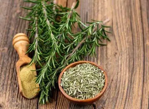 خرید عمده سبزی خشک رزماری با بهترین شرایط