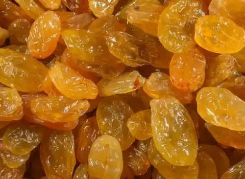 قیمت خرید عمده کشمش تیزابی صادراتی ارزان و مناسب