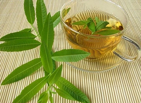 خرید عمده گیاهان دارویی معطر کوهی با بهترین شرایط