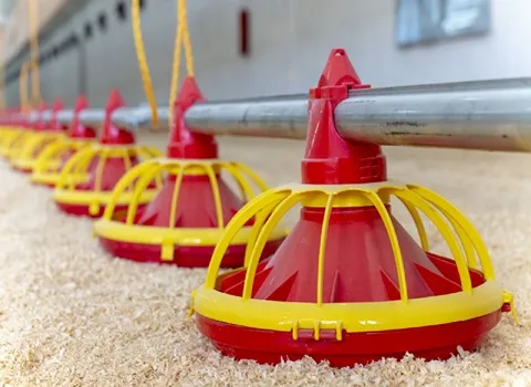 خرید عمده دانخوری اتوماتیک بلدرچین با بهترین شرایط