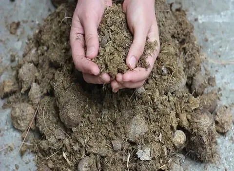مشخصات کود حیوانی ورمی کمپوست و نحوه خرید عمده