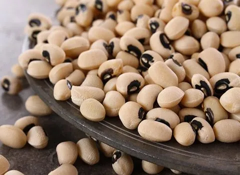 آموزش خرید لوبیا چشم بلبلی خارجی صفر تا صد