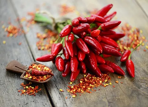 خرید عمده پودر فلفل قرمز چیلی با بهترین شرایط