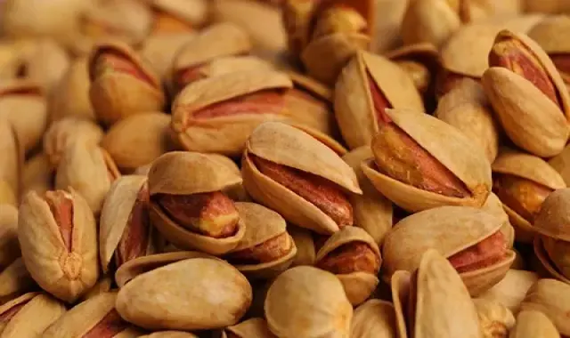 راهنمای خرید پسته احمد اقایی زعفرانی با شرایط ویژه و قیمت استثنایی