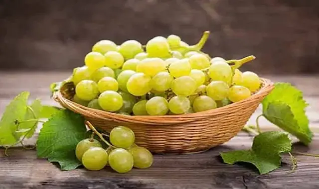 آموزش خرید انگور دانه درشت سبز صفر تا صد