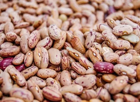 لوبیا چیتی ایرانی همراه با توضیحات کامل و آشنایی