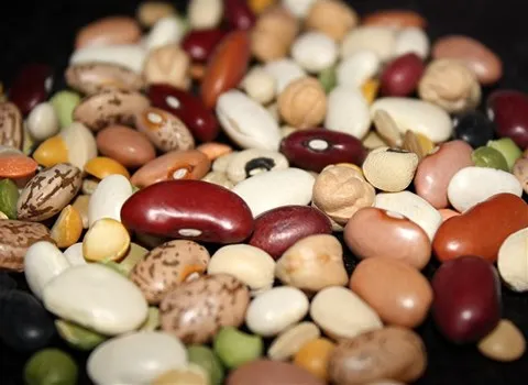 مشخصات لوبیا چیتی تازه دماوند و نحوه خرید عمده