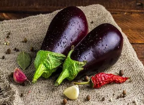 لیست قیمت بادمجان لامپی صادراتی به صورت عمده و با صرفه