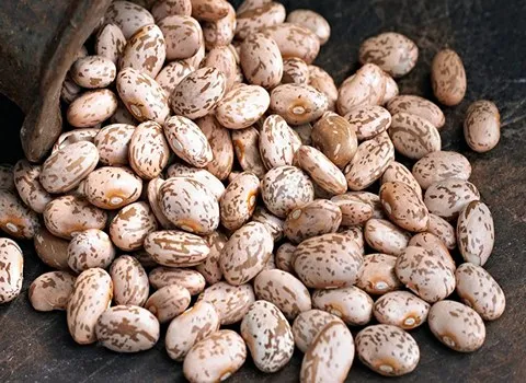 خرید عمده لوبیا چیتی خمین با بهترین شرایط