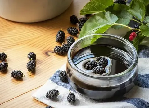 خرید عمده شیره توت اصل با بهترین شرایط