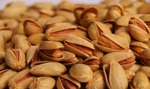 قیمت و خرید پسته نمکی رفسنجان با مشخصات کامل
