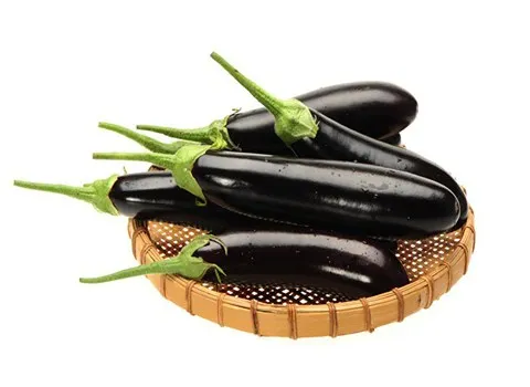 قیمت خرید عمده بادمجان ریز قلمی ارزان و مناسب