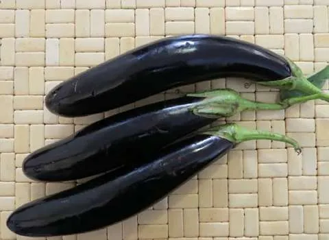 قیمت و خرید بادمجان قلمی ورامین با مشخصات کامل