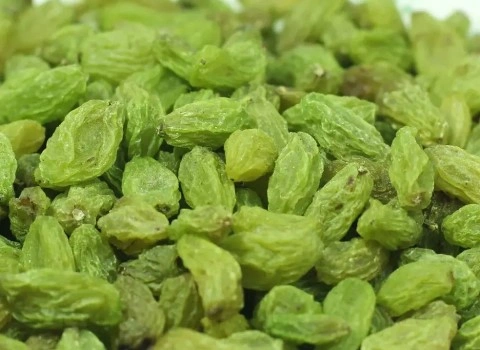 خرید عمده کشمش سبز کاشمر با بهترین شرایط