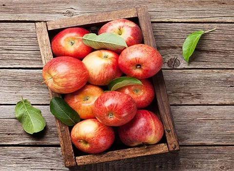 سیب قرمز اشنویه آشنایی صفر تا صد قیمت خرید عمده